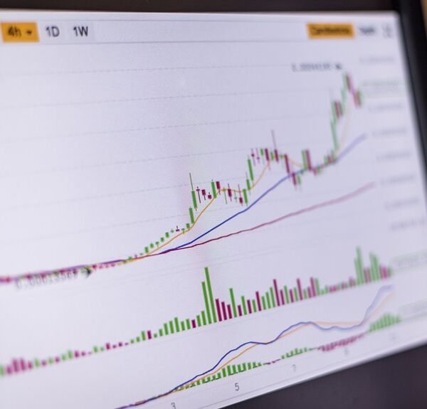 649386153 Oxpoll.Com and the Rise of Online Business