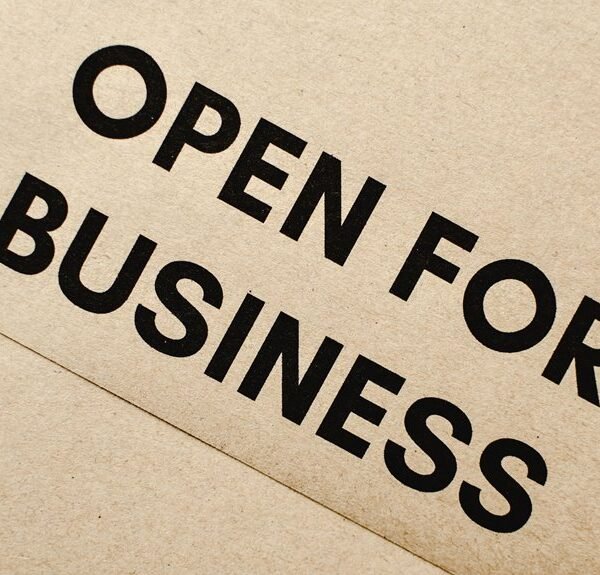 online business opportunities guide